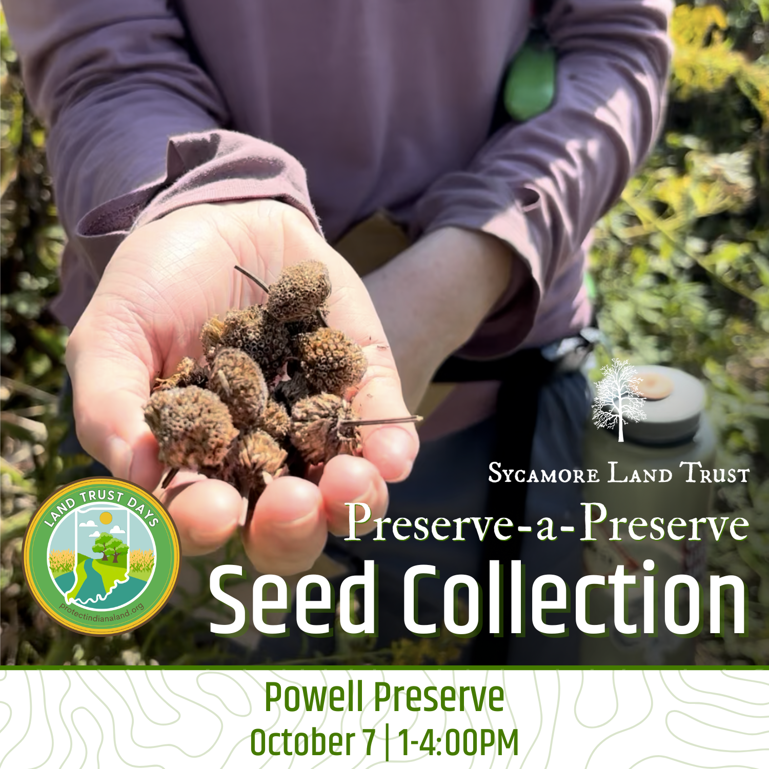 2026.10.07 Seed Collection at Powell