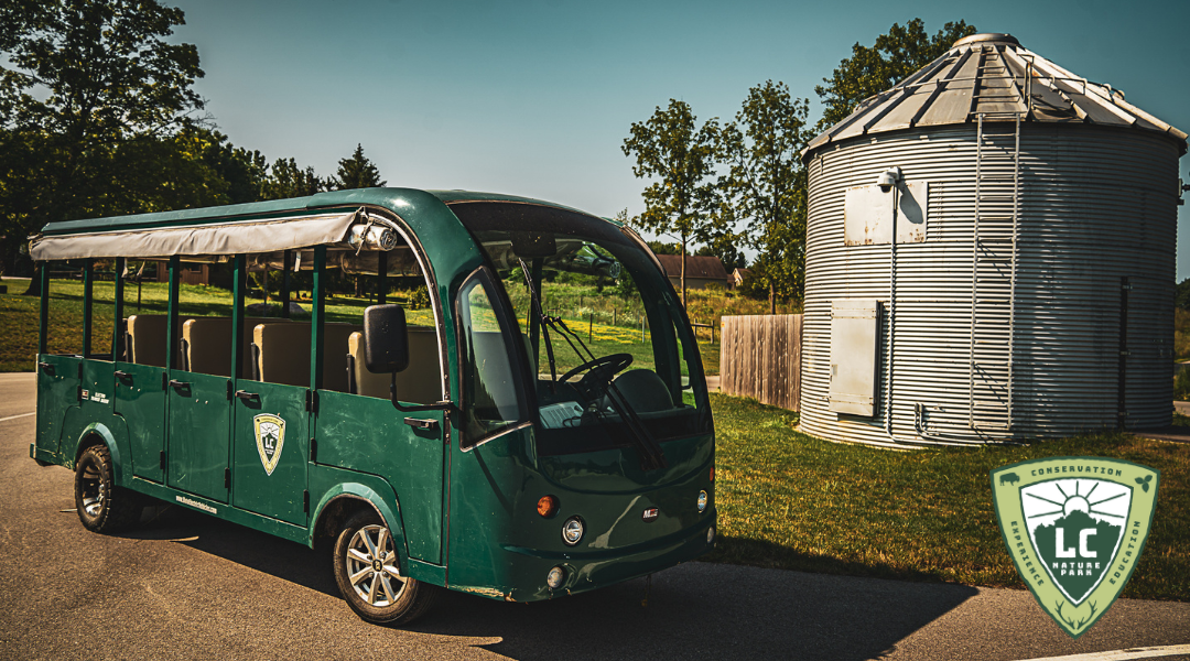safari-bus